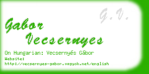 gabor vecsernyes business card